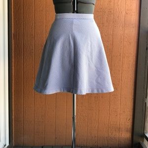Blue Striped A-Line Skirt